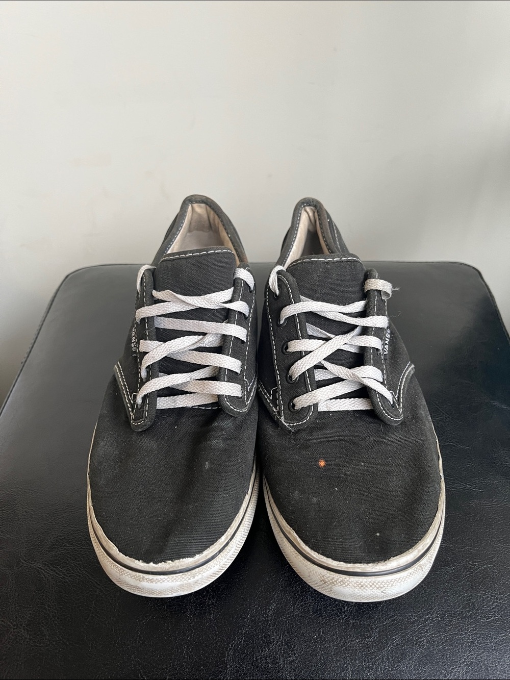 Vans Black Canvas Low-Top Sneakers with White Laces
